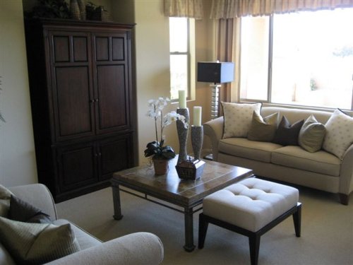 model_house_living_roomIMG_2035